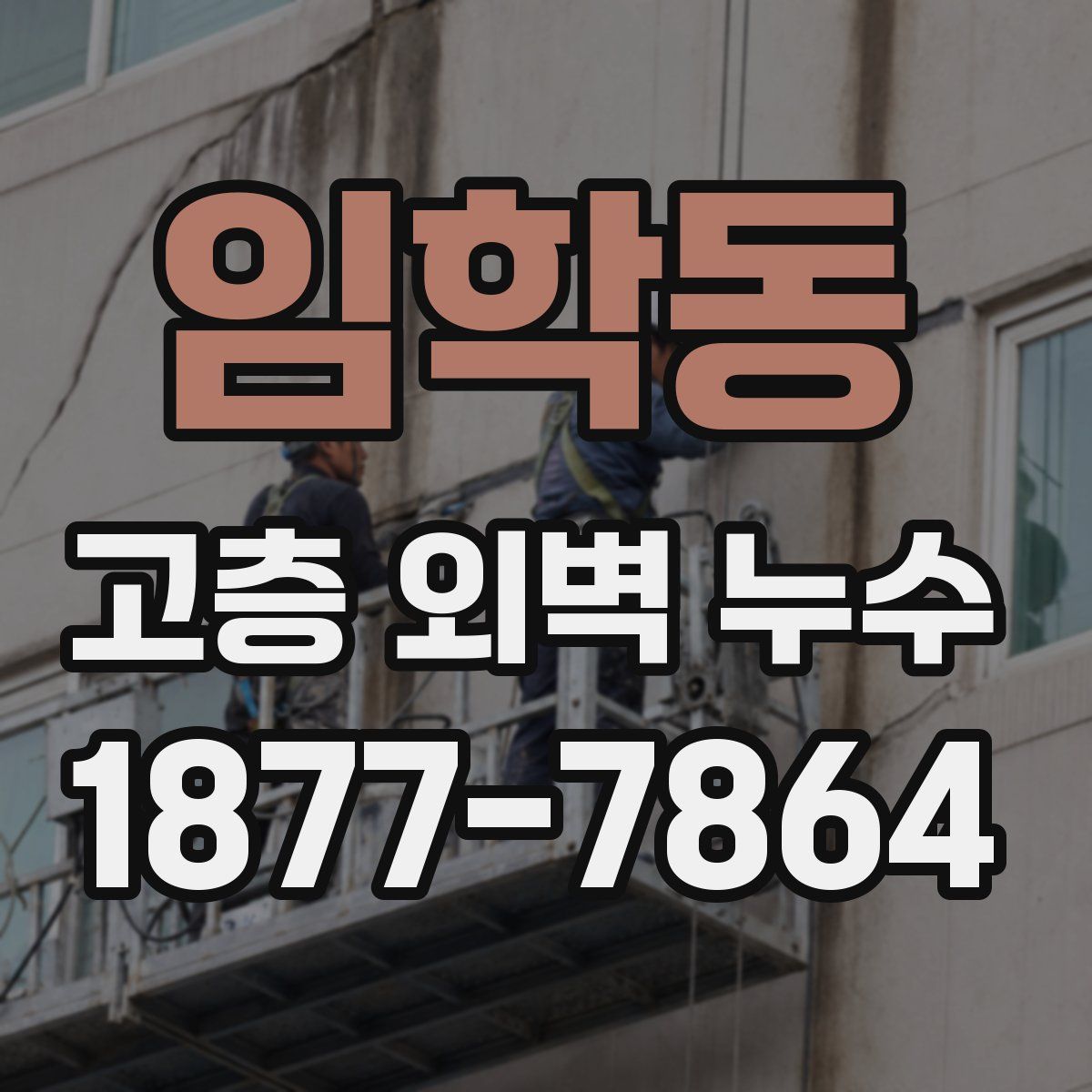 임학동 고층 외벽 누수