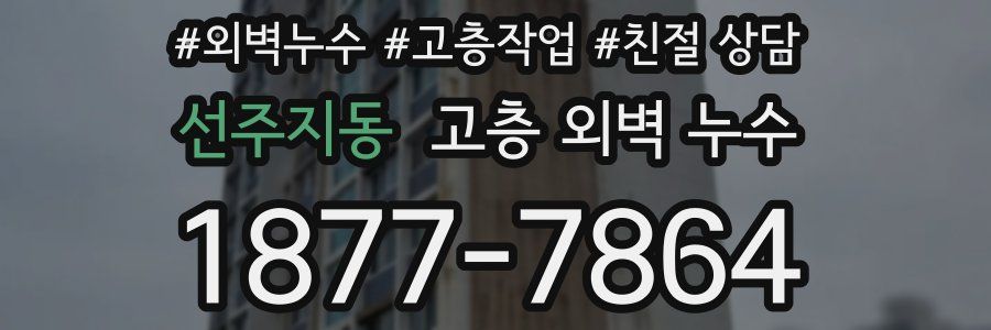 선주지동 고층 외벽 누수