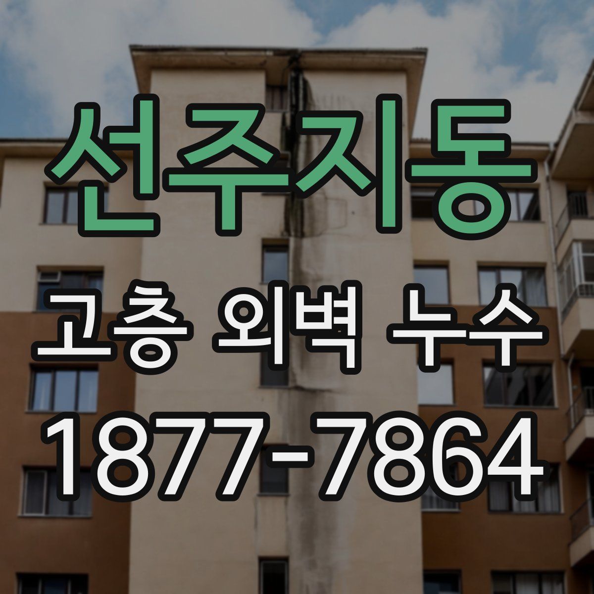 선주지동 고층 외벽 누수