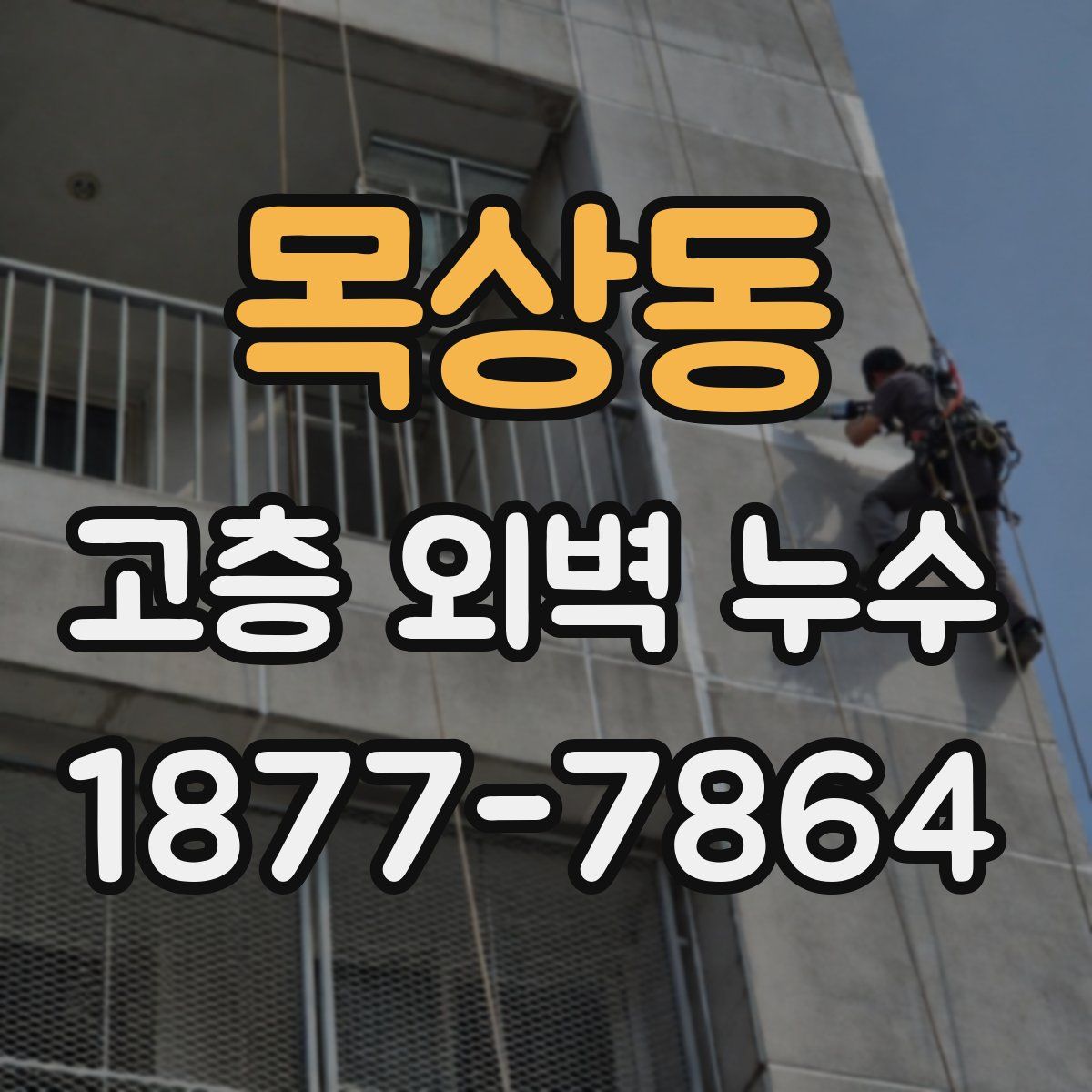목상동 고층 외벽 누수