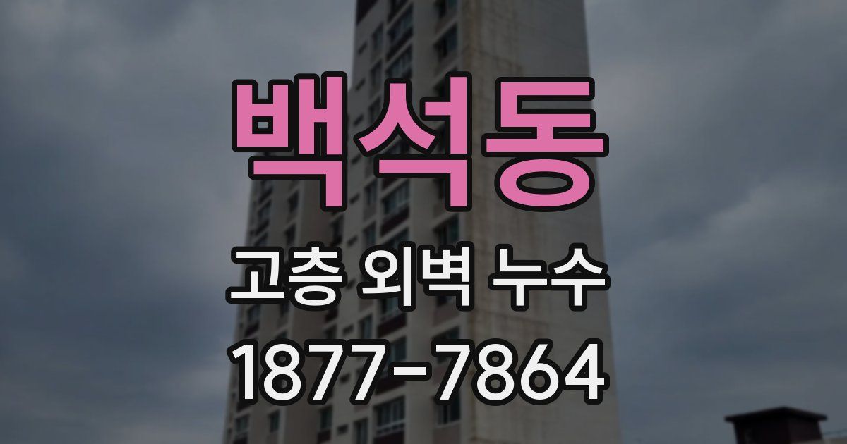 백석동 고층 외벽 누수