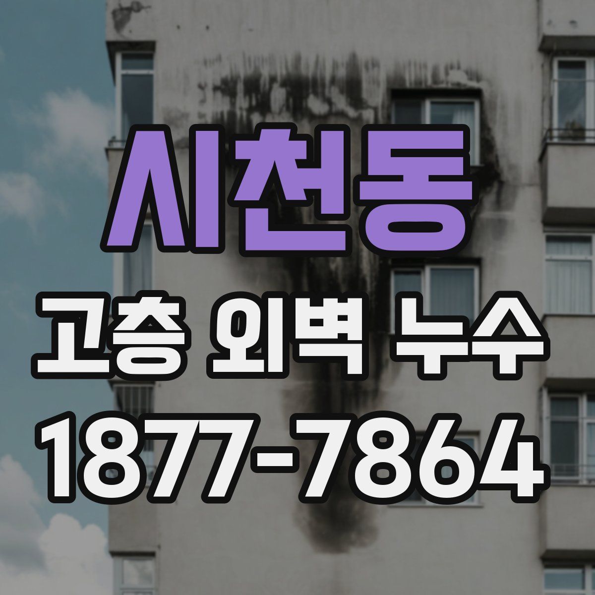 시천동 고층 외벽 누수