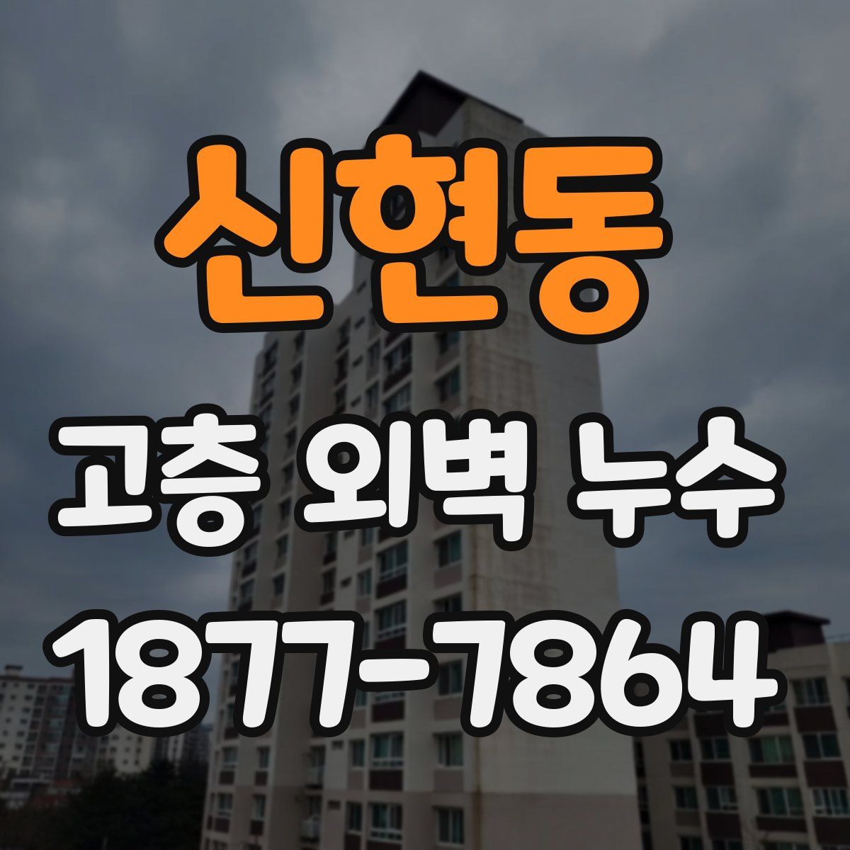 신현동 고층 외벽 누수