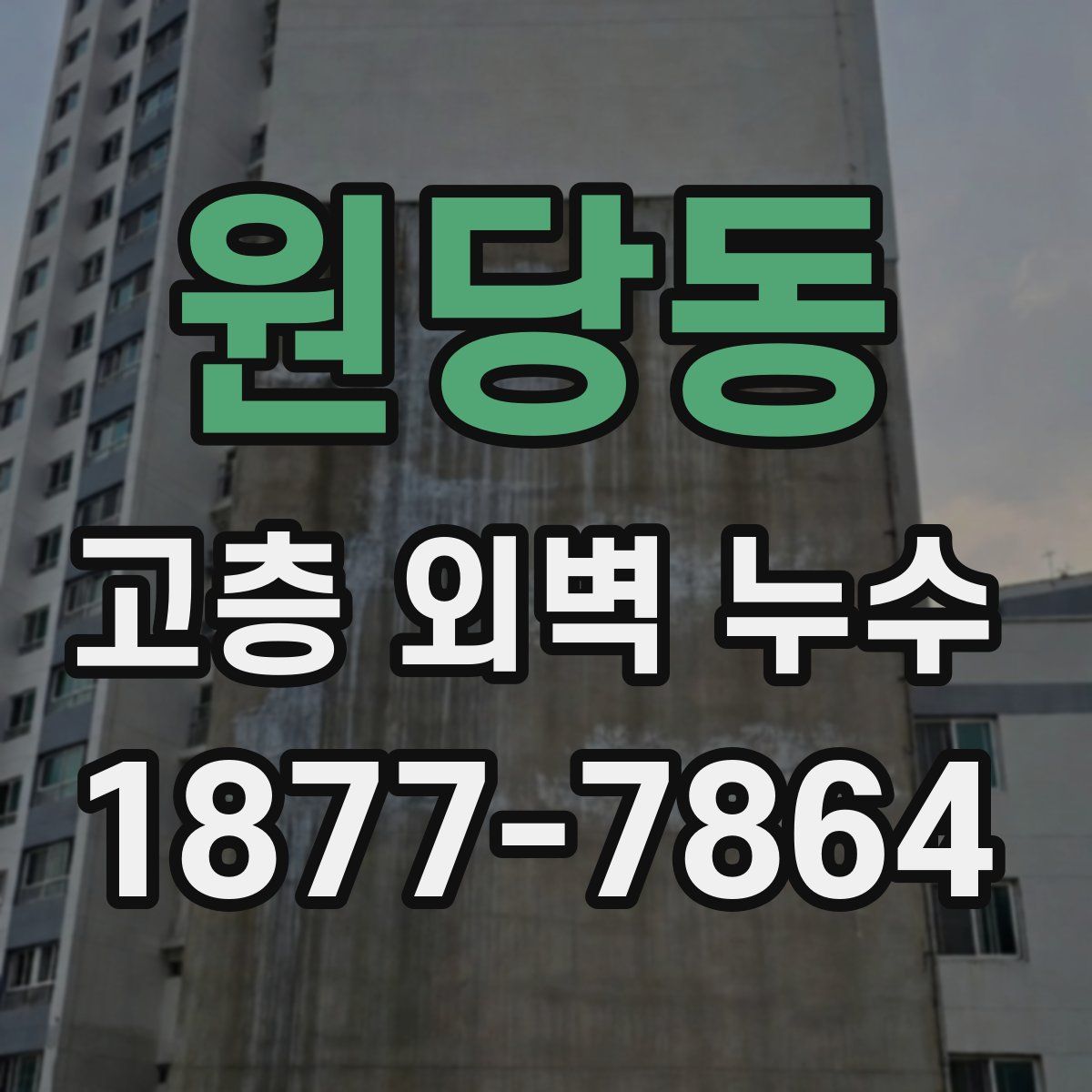 원당동 고층 외벽 누수