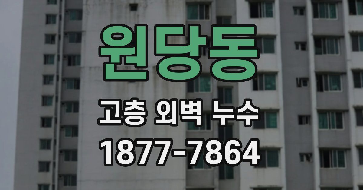 원당동 고층 외벽 누수