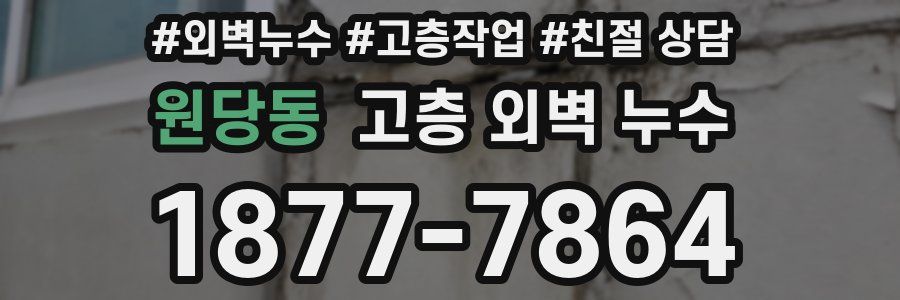원당동 고층 외벽 누수