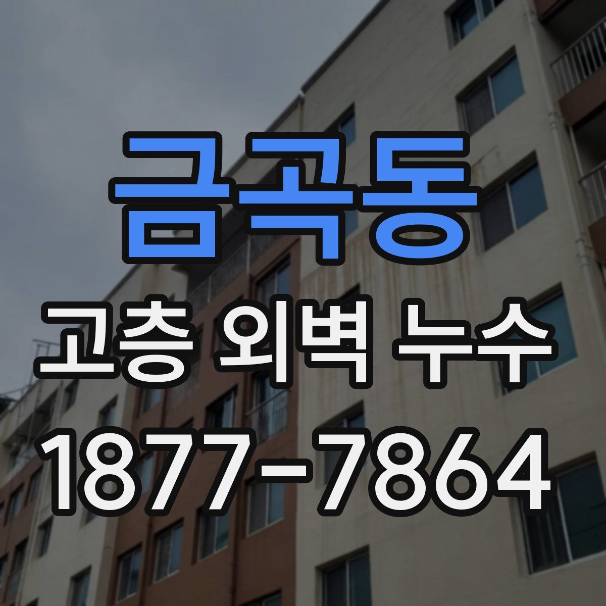 금곡동 고층 외벽 누수