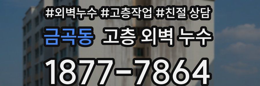 금곡동 고층 외벽 누수