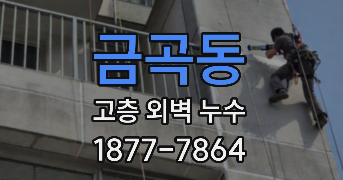 금곡동 고층 외벽 누수