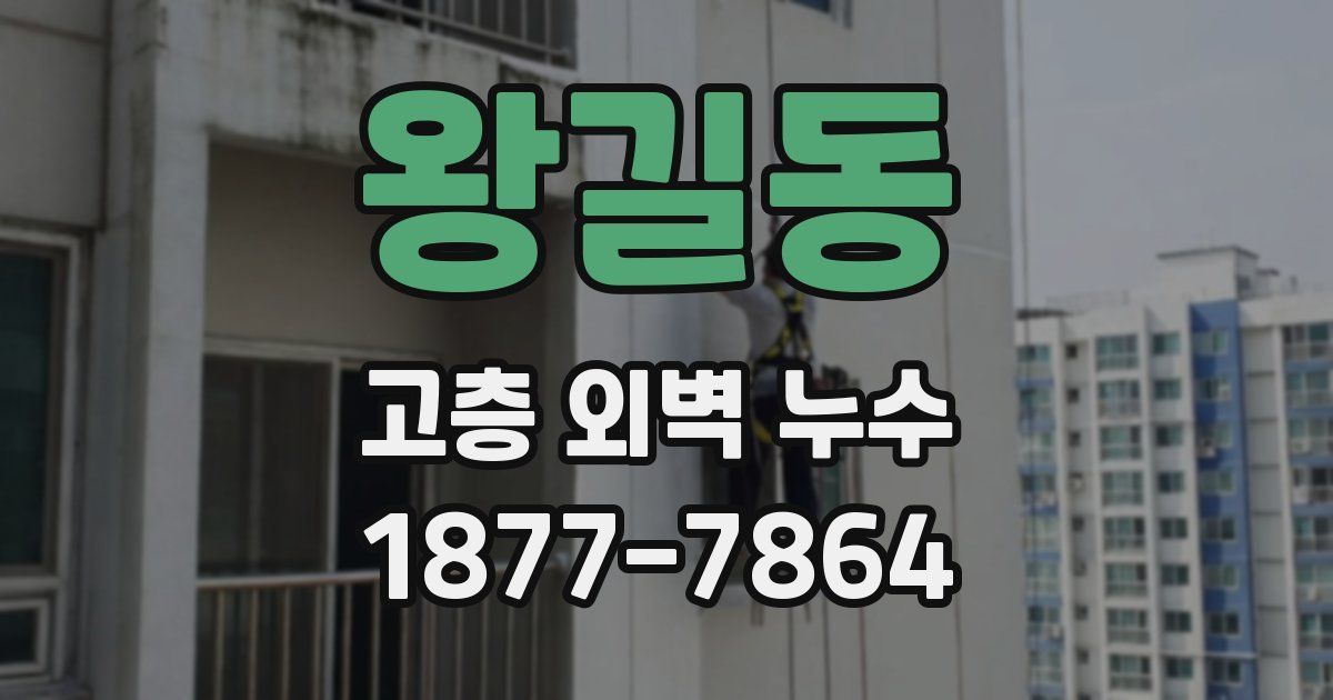 왕길동 고층 외벽 누수