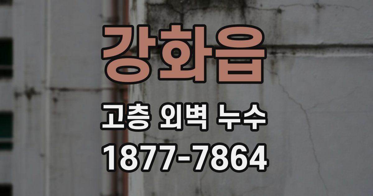 강화읍 고층 외벽 누수