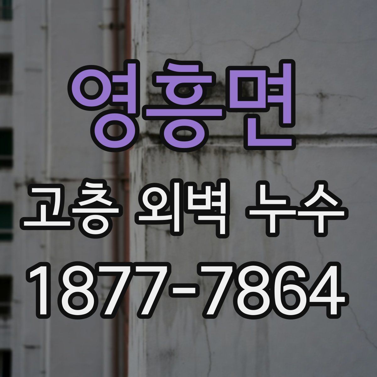 영흥면 고층 외벽 누수 의심 부위를 찾는 실무 팁