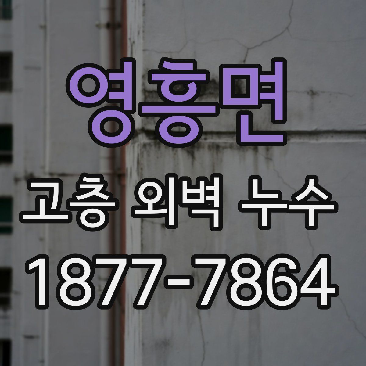 영흥면 고층 외벽 누수