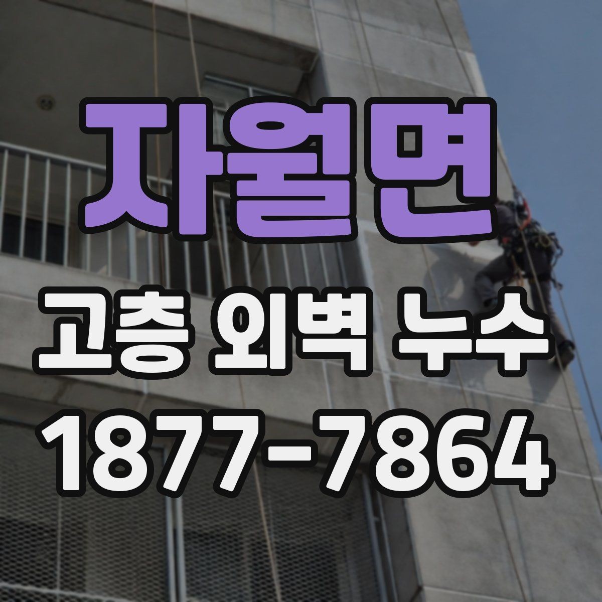 자월면 고층 외벽 누수 조사 결과에 따라 달라지는 대응