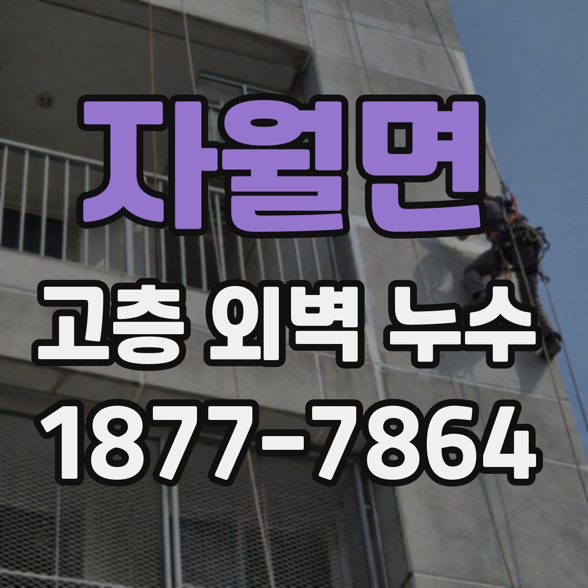 자월면 고층 외벽 누수