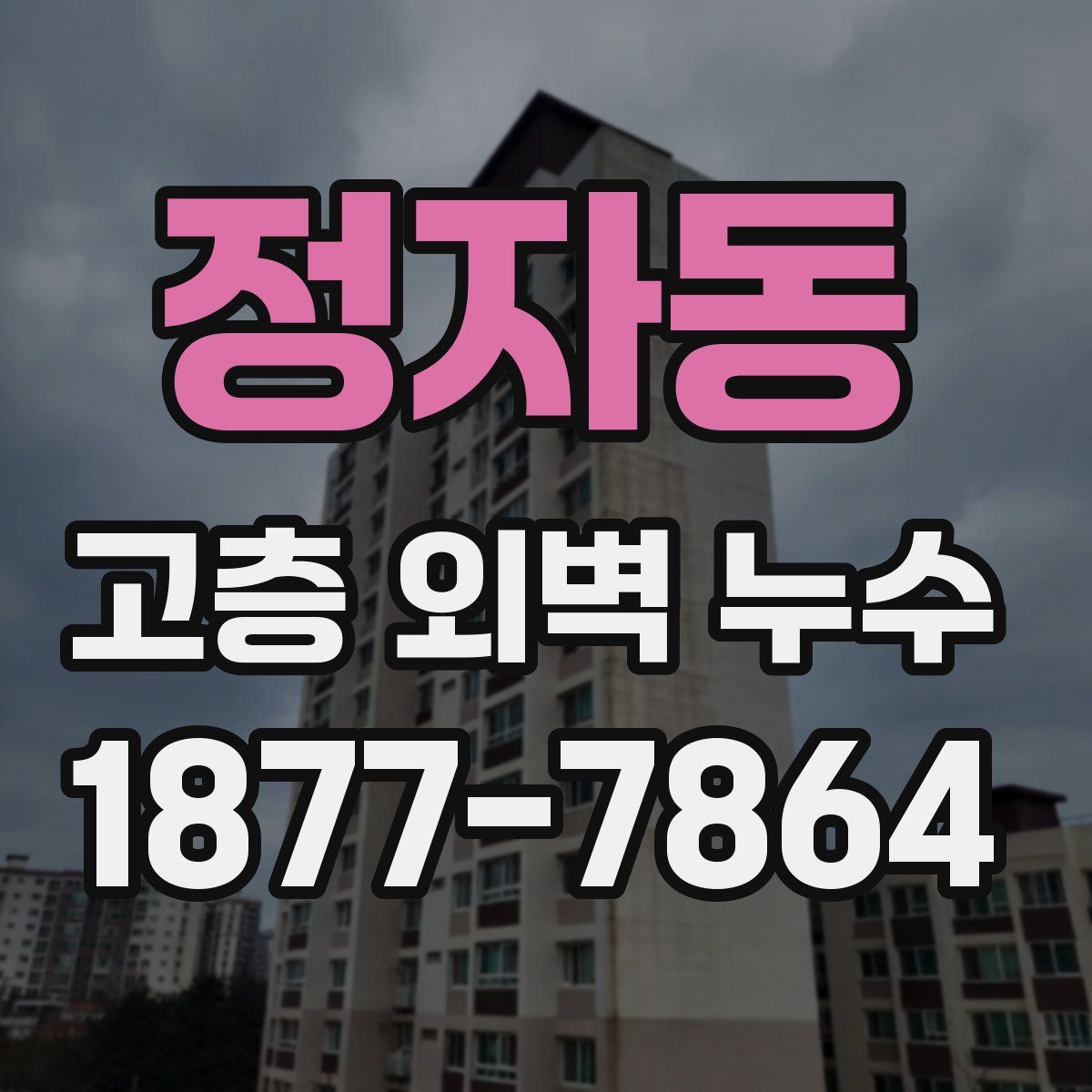 정자동 고층 외벽 누수