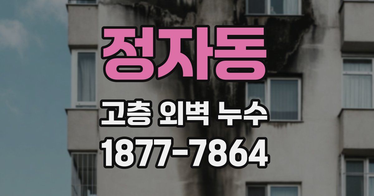 정자동 고층 외벽 누수