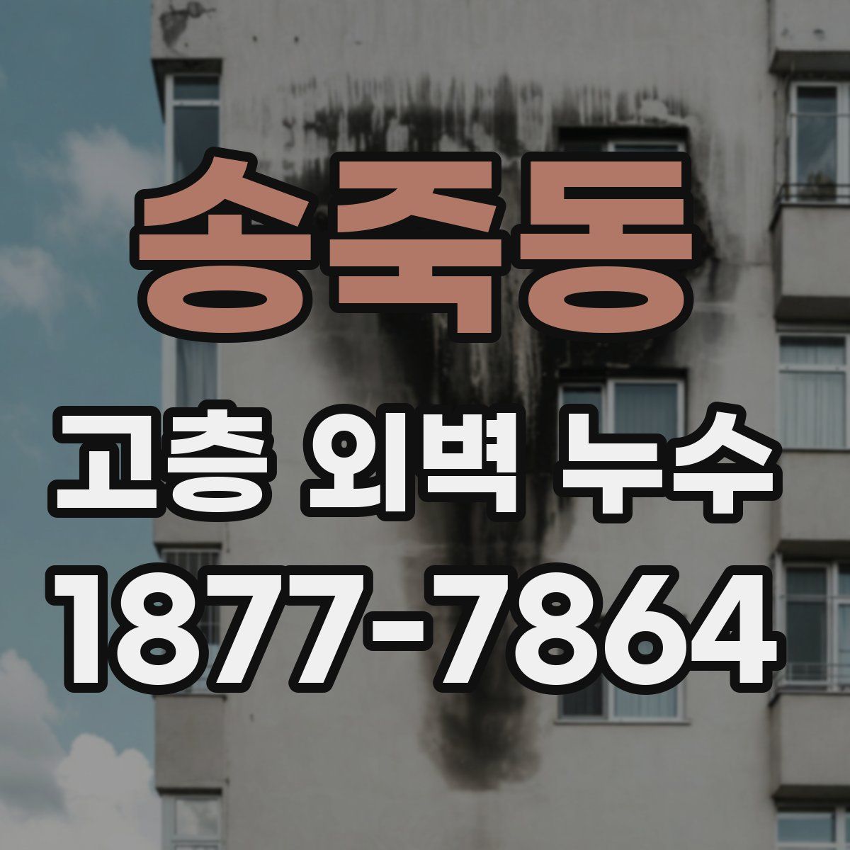 송죽동 고층 외벽 누수