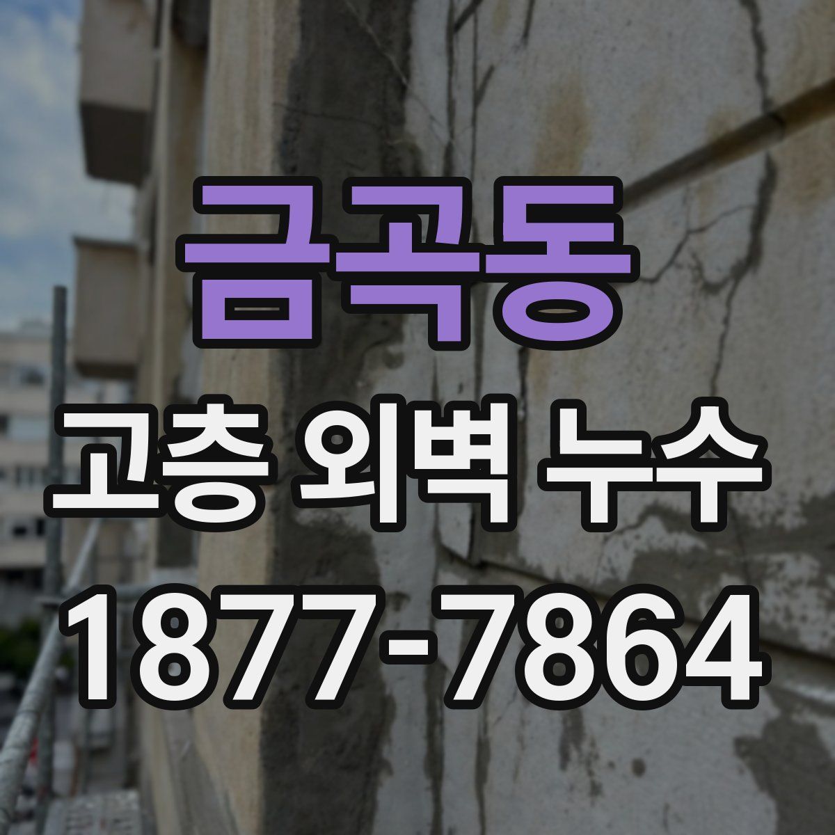 금곡동 고층 외벽 누수