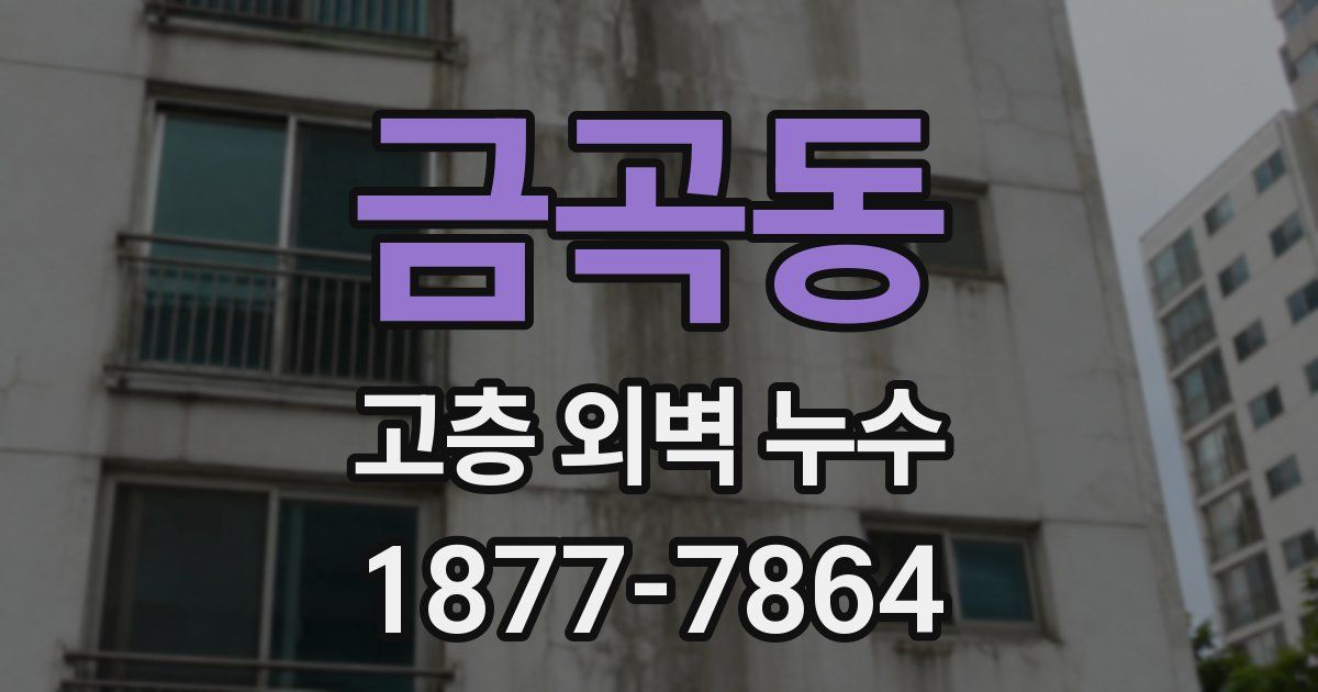 금곡동 고층 외벽 누수