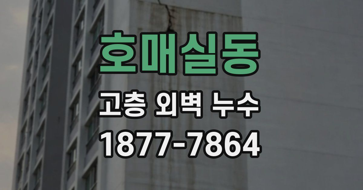 호매실동 고층 외벽 누수