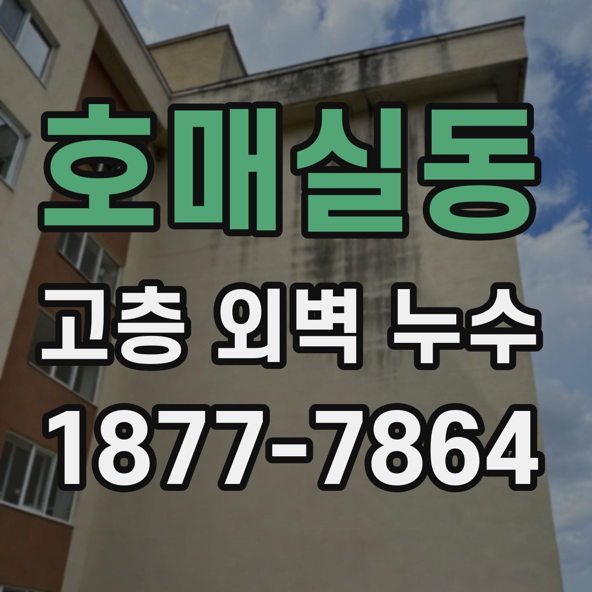 호매실동 고층 외벽 누수
