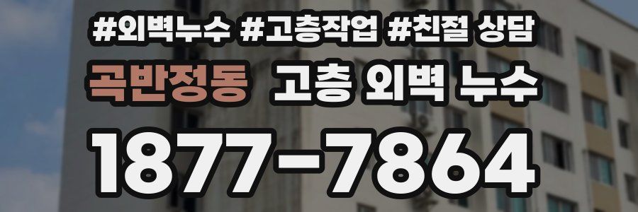 곡반정동 고층 외벽 누수