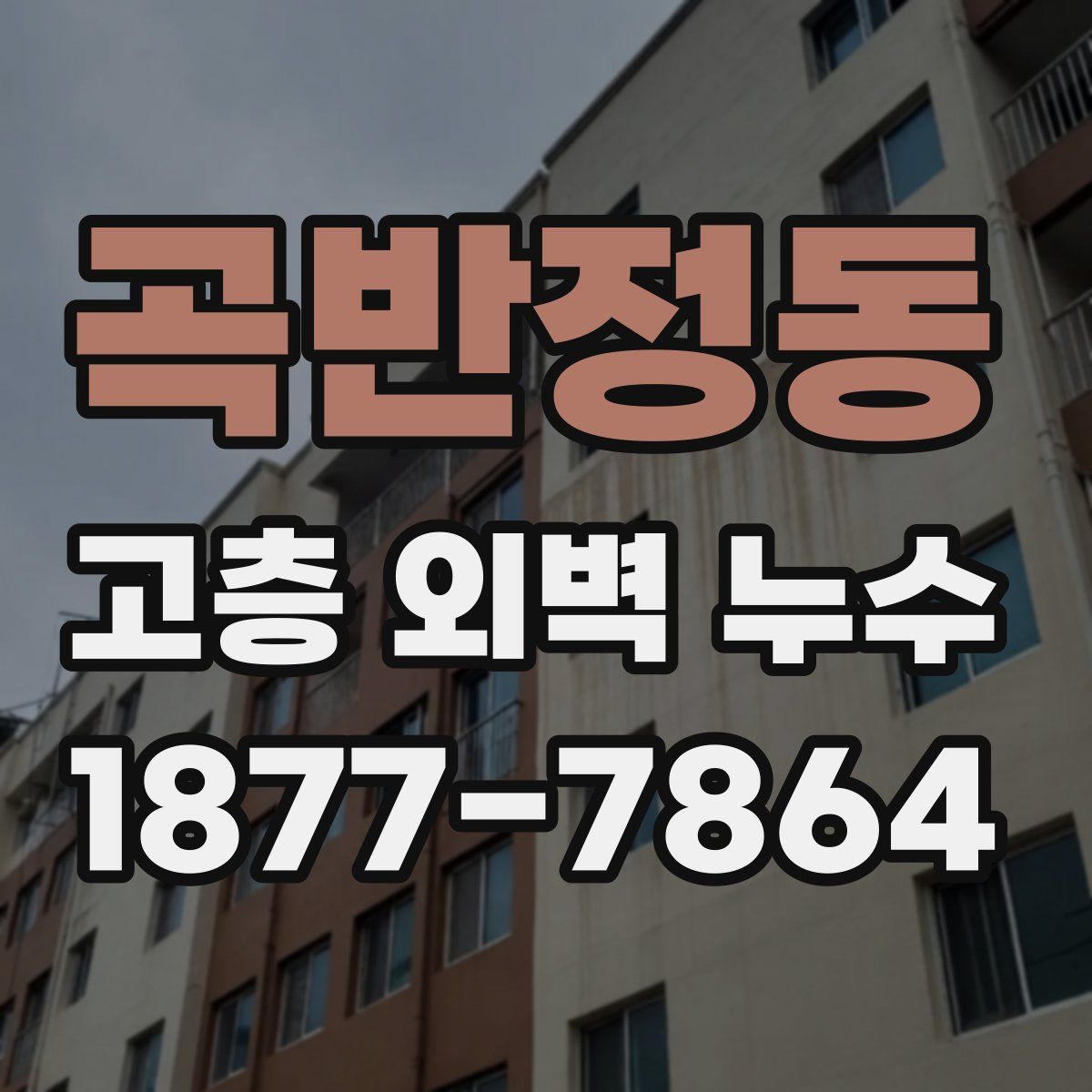 곡반정동 고층 외벽 누수