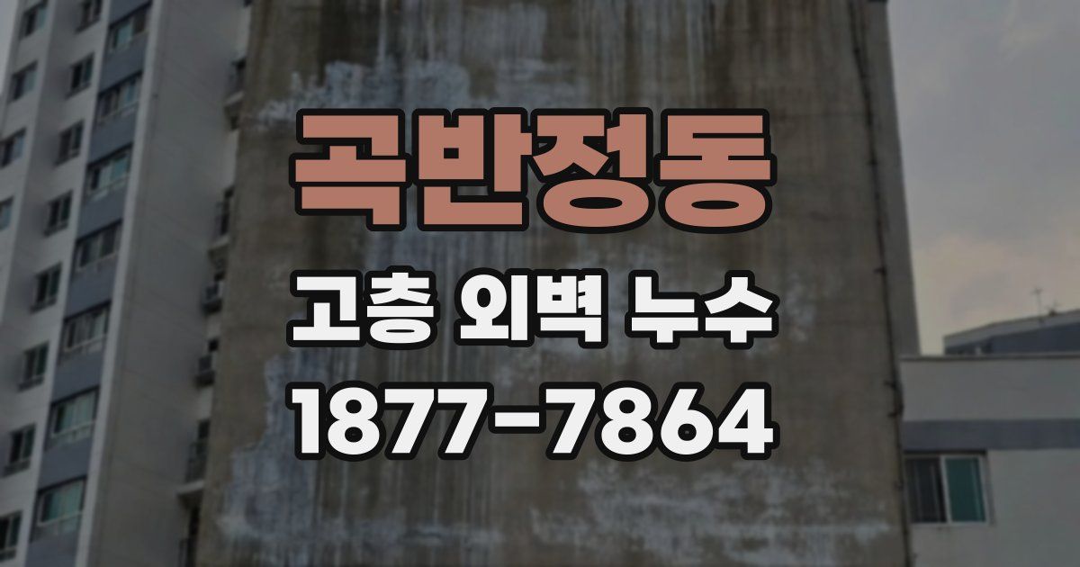 곡반정동 고층 외벽 누수