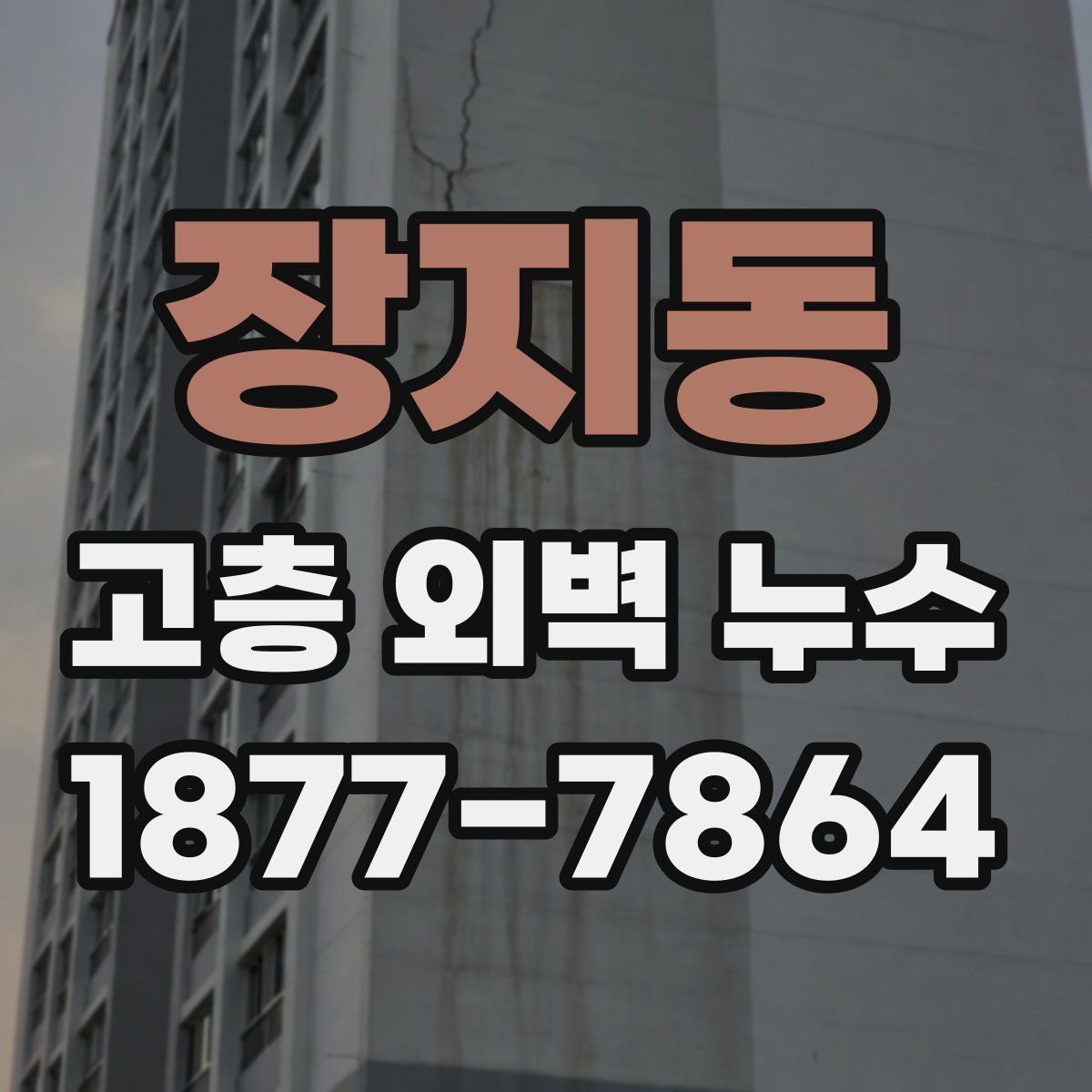 장지동 고층 외벽 누수