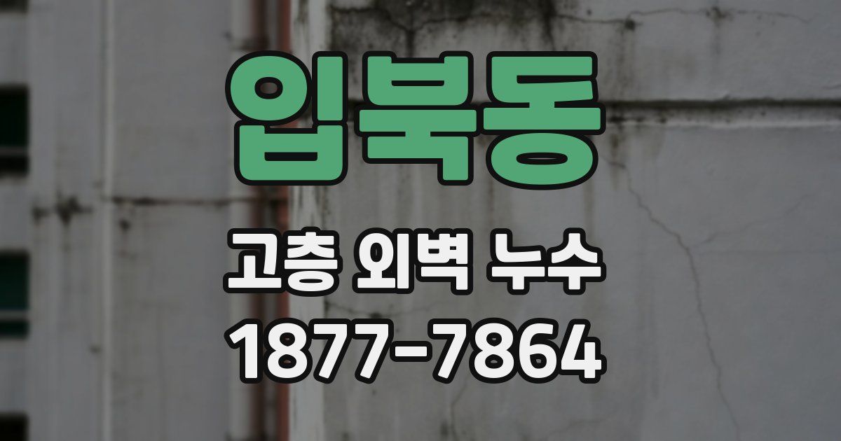 입북동 고층 외벽 누수