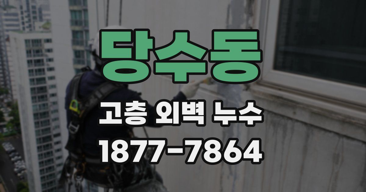 당수동 고층 외벽 누수
