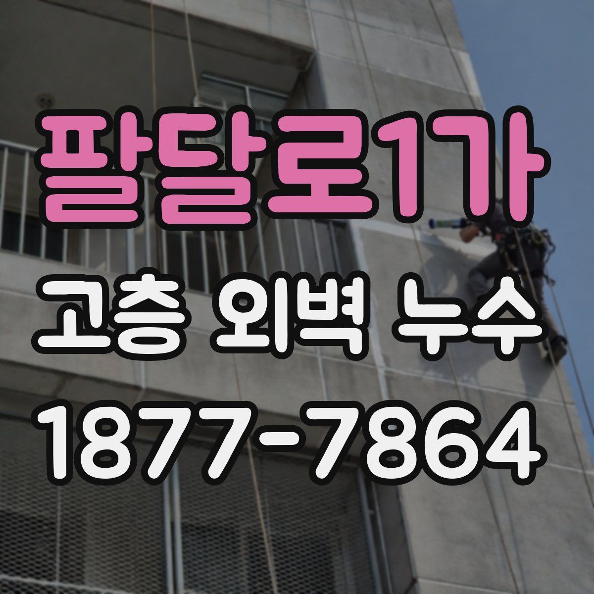 팔달로1가 고층 외벽 누수