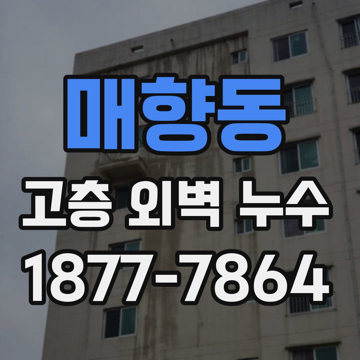 매향동 고층 외벽 누수