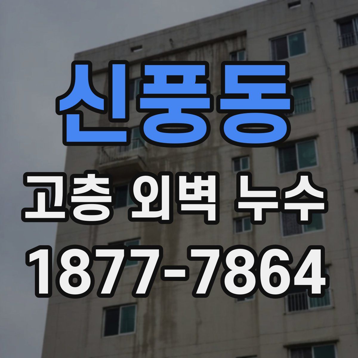 신풍동 고층 외벽 누수