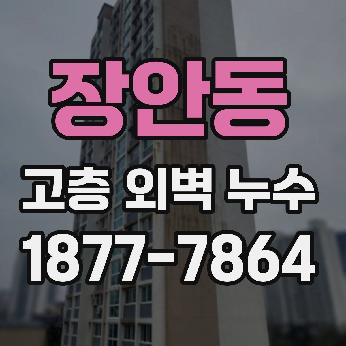 장안동 고층 외벽 누수 보수 재료 선택 시 체크할 사항