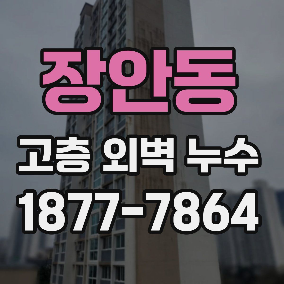 장안동 고층 외벽 누수