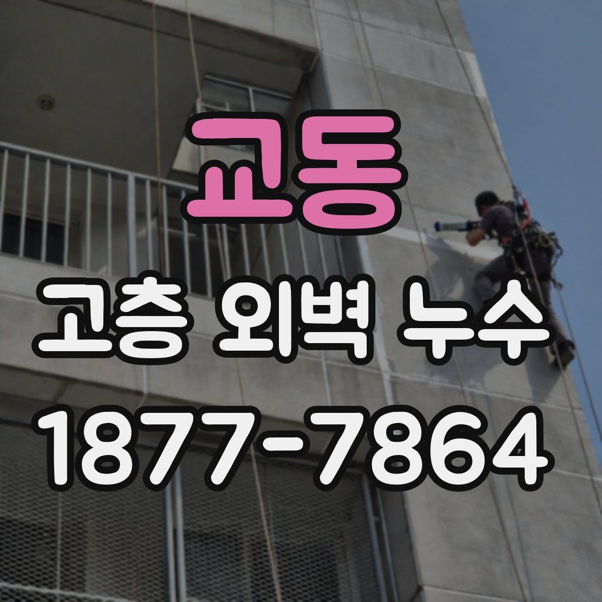 교동 고층 외벽 누수