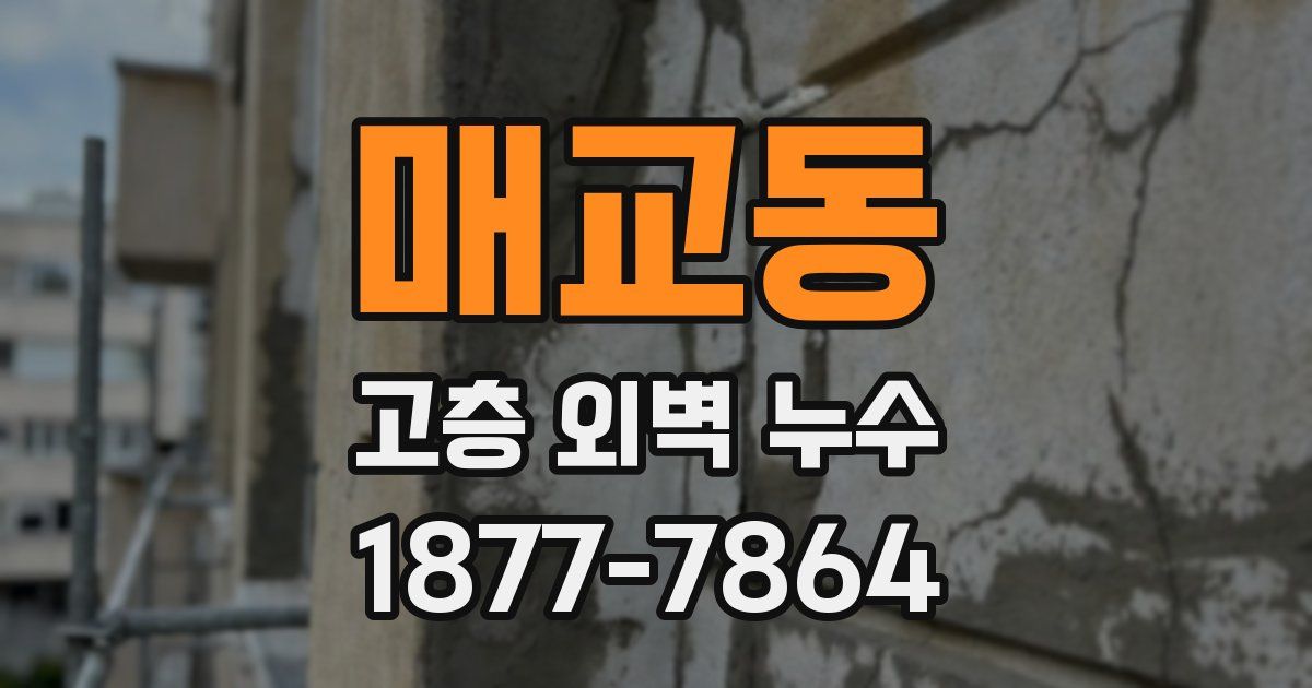 매교동 고층 외벽 누수