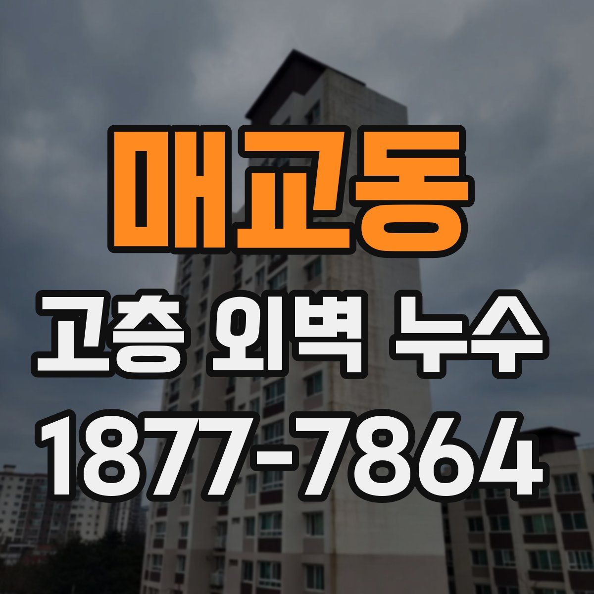 매교동 고층 외벽 누수
