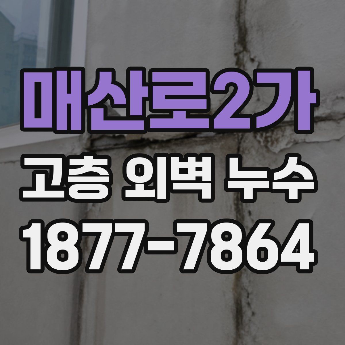매산로2가 고층 외벽 누수 진단과 보수의 차이를 이해하기