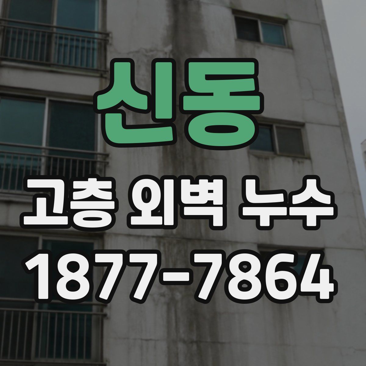 신동 고층 외벽 누수