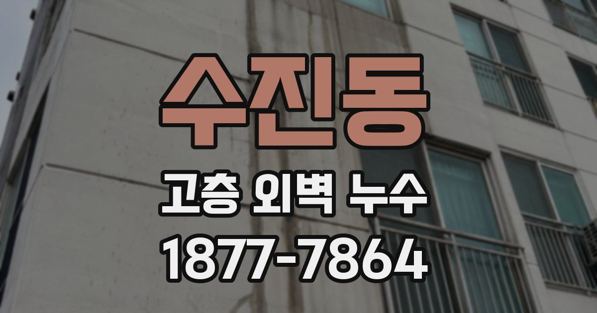 수진동 고층 외벽 누수
