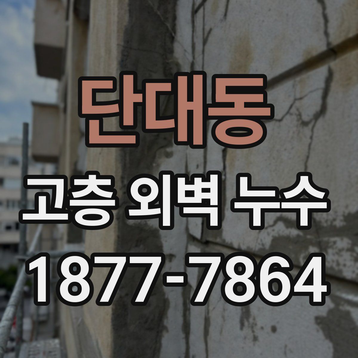 단대동 고층 외벽 누수