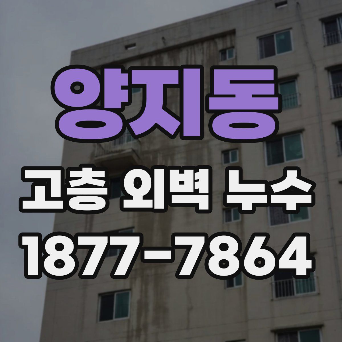 양지동 고층 외벽 누수