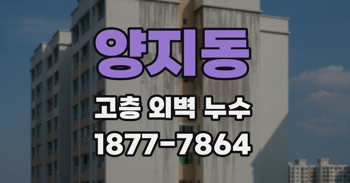 양지동 고층 외벽 누수