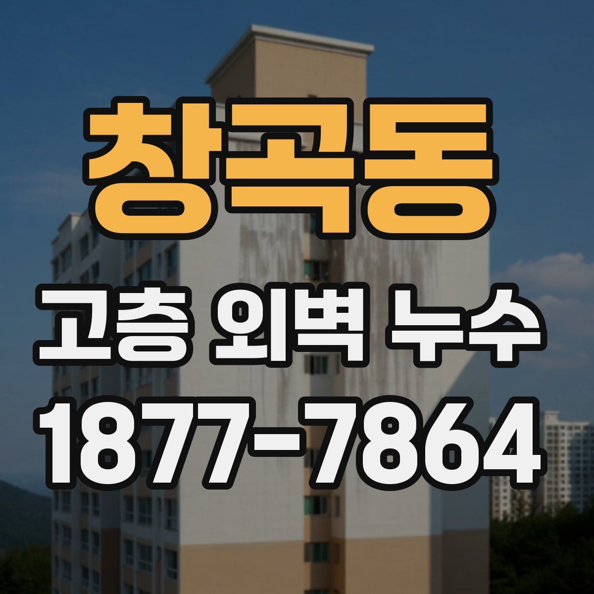 창곡동 고층 외벽 누수
