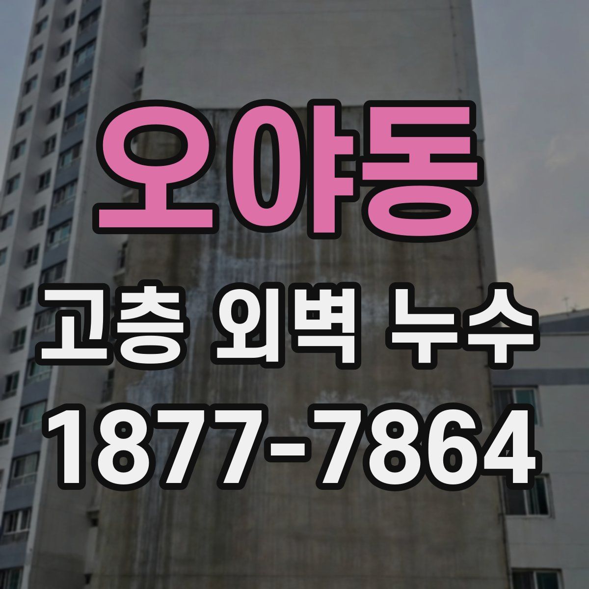 오야동 고층 외벽 누수