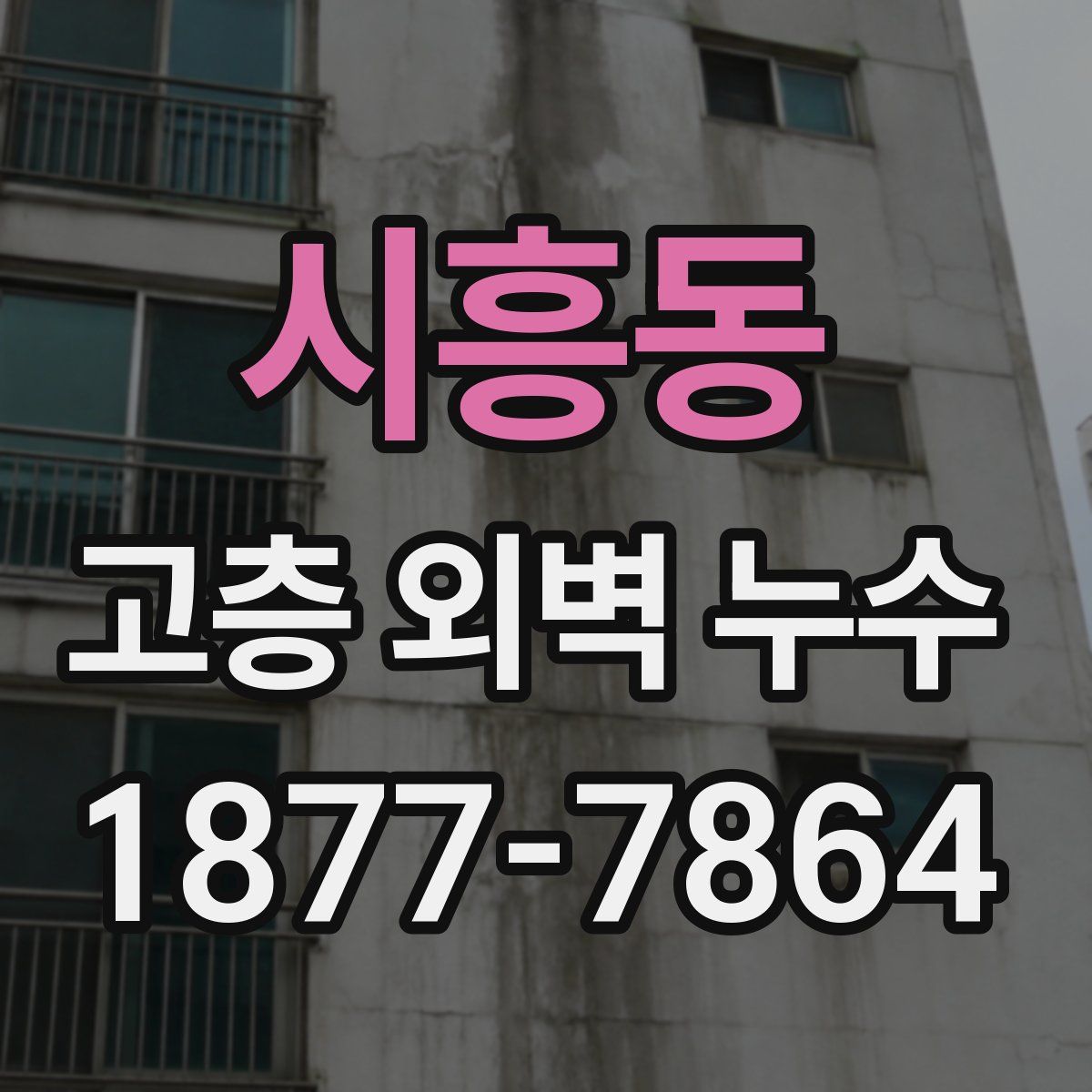 시흥동 고층 외벽 누수