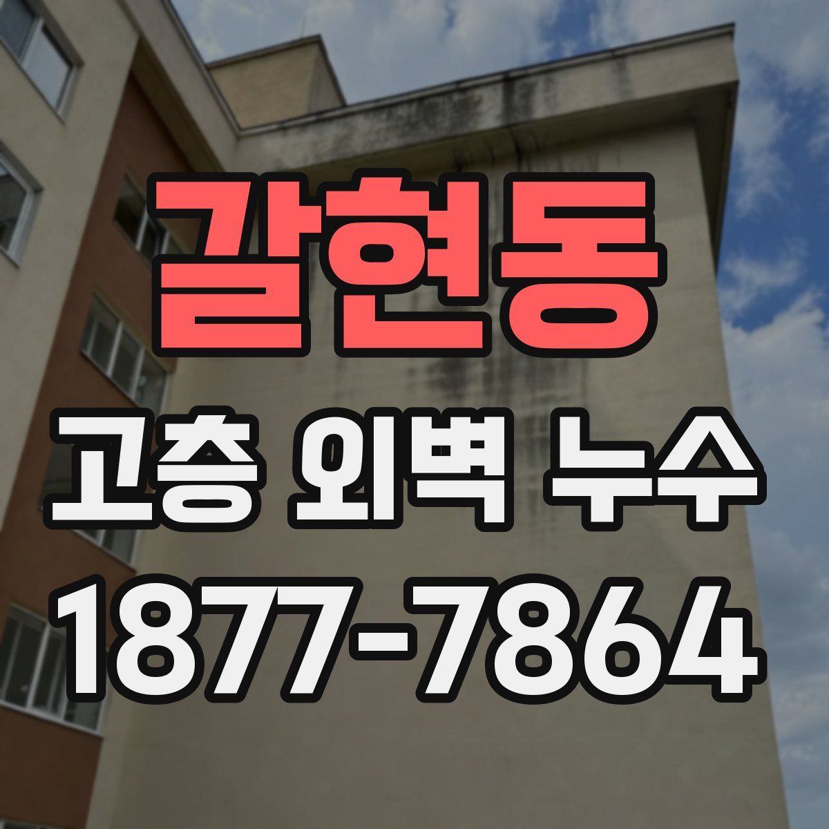 갈현동 고층 외벽 누수